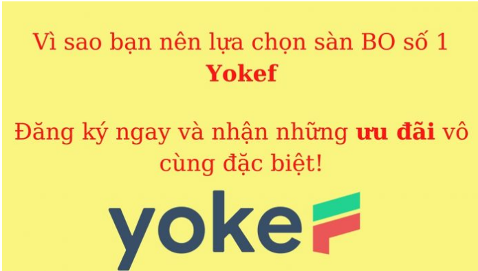 Yokef là dự án sàn BO cực uy tín hàng đầu