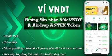 ví vndt