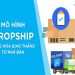 Hướng dẫn kiếm tiền với Tiki theo mô hình Dropship chi tiết Hướng dẫn kiếm tiền với Tiki theo mô hình Dropship chi tiết