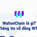 Waltonchain là gì? Tổng quan về đồng điện tử Waltonchain
