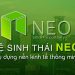 Neo là gì? Mua bán và giao dịch Token NEO ở đâu? Neo là gì? Mua bán và giao dịch Token NEO ở đâu?