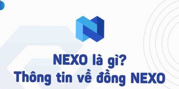 Nexo là gì? Hướng dẫn sử dụng Nexo toàn tập cho người mới