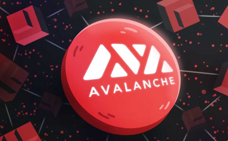 Avalanche là một nền tảng Blockchain vô cùng nổi bật