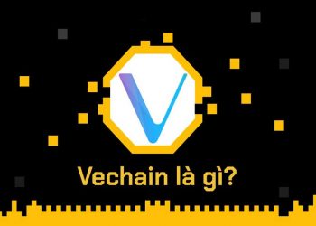 Vechain là gì? Tất tần tật thông tin về nền tảng Vechain