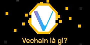 Vechain là gì? Tất tần tật thông tin về nền tảng Vechain