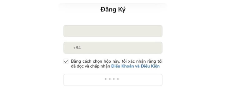 Điền thông tin vay - Webvay