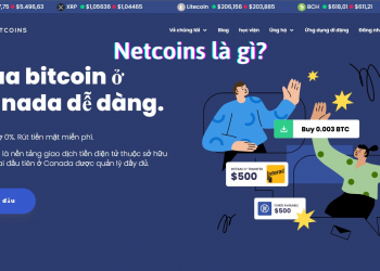 Netcoins là gì? Đánh giá chi tiết sàn giao dịch Netcoins 2022