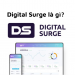 Digital Surge là gì? Đánh giá chi tiết sàn giao dịch Digital Surge Digital Surge là gì? Đánh giá chi tiết sàn giao dịch Digital Surge