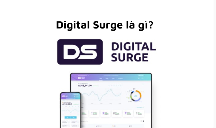 Digital Surge là gì?