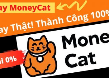 Vay tiền online Moneycat