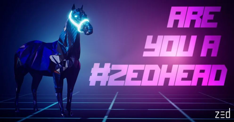 Zed Run: Tựa game NFT đua ngựa P2E gây nghiện | Hướng dẫn cách chơi và kiếm tiền toàn diện
