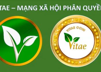 Vitae là gì? Đây có phải là một khoản đầu tư tốt?
