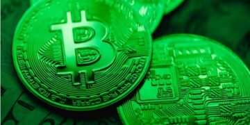 Cơ Hội Đầu Tư: 8 loại tiền điện tử sẽ có mặt trong đợt tăng giá sắp tới